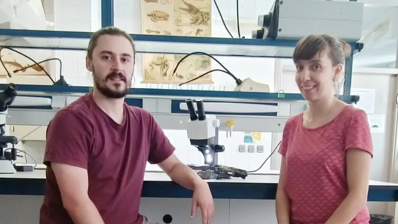 Diseño sin título (25)